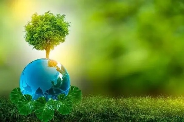 解鎖EPS回收的潛力,助力可持續(xù)未來(lái):EPS壓實(shí)機(jī)