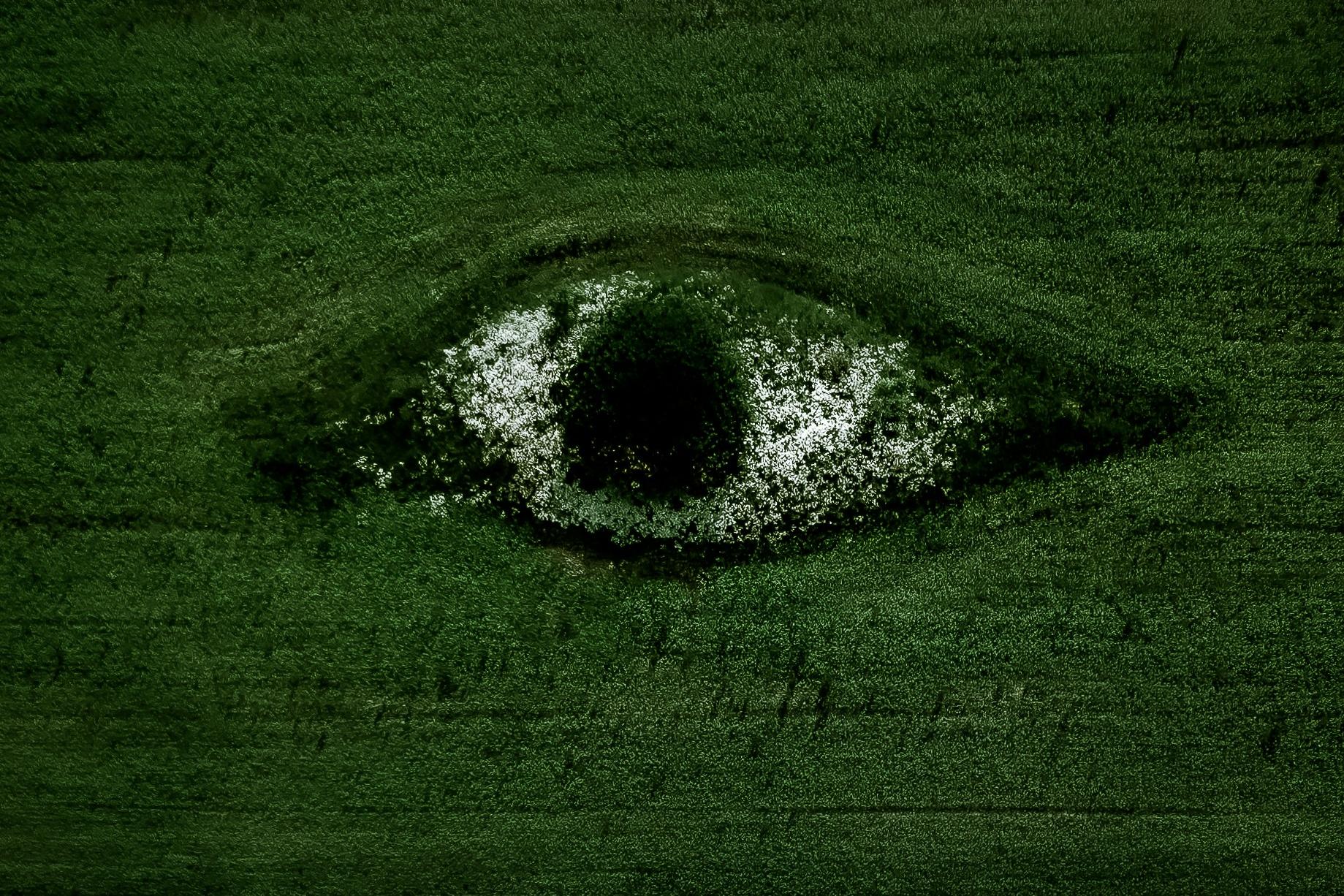 聚苯乙烯廢棄物回收:從污染到循環(huán)解決方案,EPS壓實(shí)機(jī)