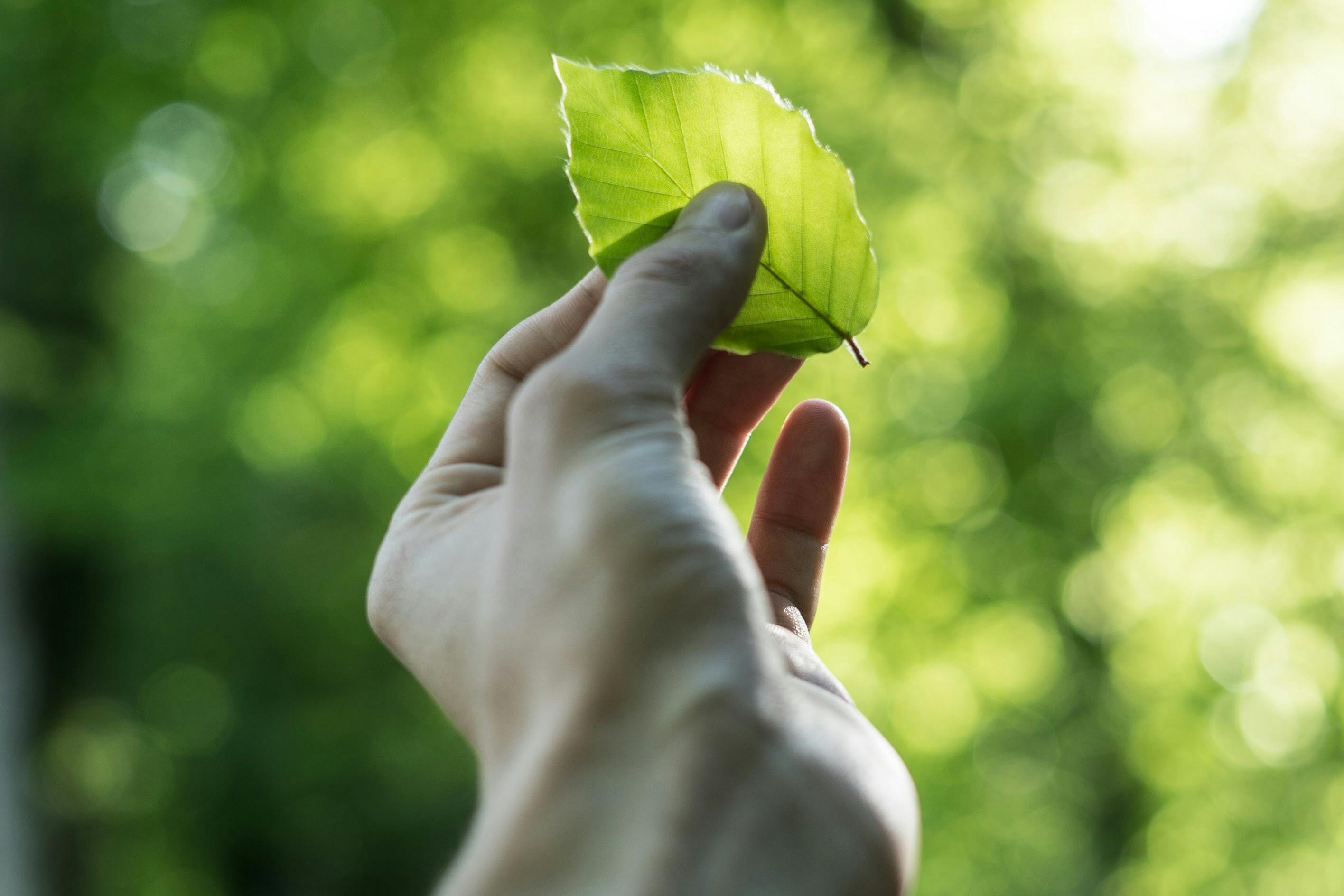 聚苯乙烯壓實機:可靠的泡沫減容處理設備